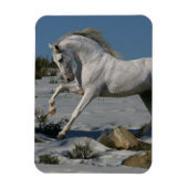 Fantasy Horses: sneeuwkoning Magneet (Verticaal)