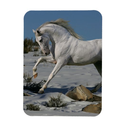 Fantasy Horses: sneeuwkoning Magneet (Verticaal)