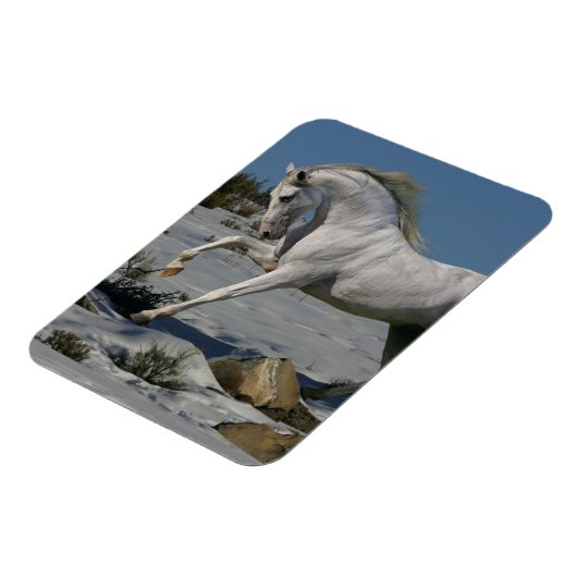 Fantasy Horses: sneeuwkoning Magneet (Linkerzijde)