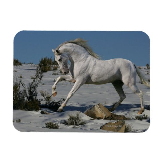Fantasy Horses: sneeuwkoning Magneet (Horizontaal)