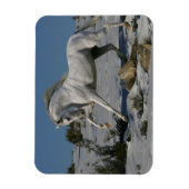 Fantasy Horses: sneeuwkoning Magneet (Verticaal)