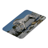 Fantasy Horses: sneeuwkoning Magneet (Linkerzijde)