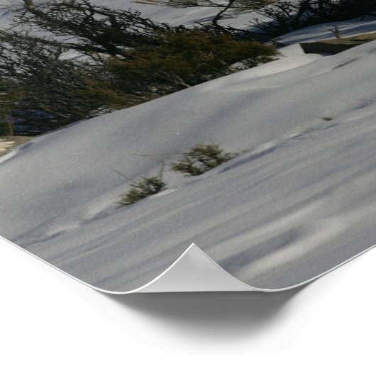 Fantasy Horses: sneeuwkoning Poster (Hoek)