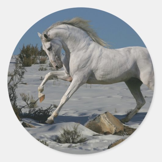 Fantasy Horses: sneeuwkoning Ronde Sticker (Voorkant)