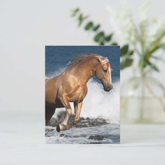 Fantasy Horses: Summer Splash Briefkaart (Staand voorkant)