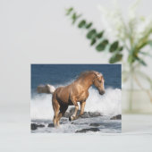Fantasy Horses: Summer Splash Briefkaart (Staand voorkant)
