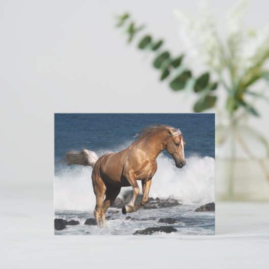 Fantasy Horses: Summer Splash Briefkaart (Staand voorkant)