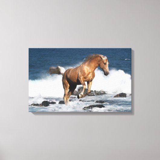 Fantasy Horses: Summer Splash Canvas Afdruk (Voorkant)