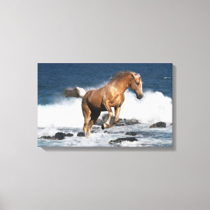 Fantasy Horses: Summer Splash Canvas Afdruk