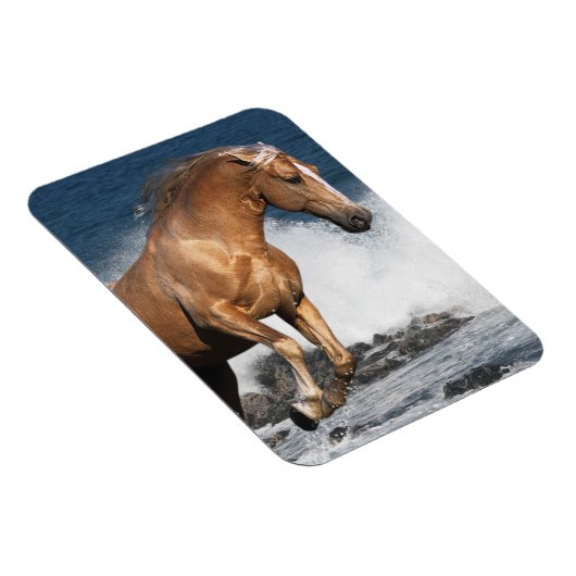 Fantasy Horses: Summer Splash Magneet (Rechterzijde)