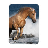 Fantasy Horses: Summer Splash Magneet (Verticaal)