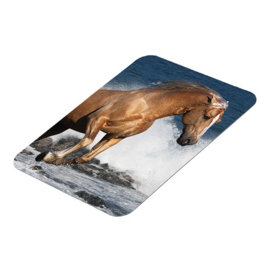 Fantasy Horses: Summer Splash Magneet (Linkerzijde)