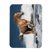 Fantasy Horses: Summer Splash Magneet (Verticaal)