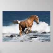 Fantasy Horses: Summer Splash Poster (Voorkant)