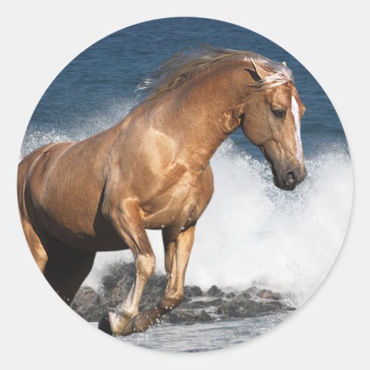 Fantasy Horses: Summer Splash Ronde Sticker (Voorkant)