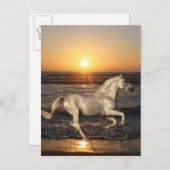 Fantasy Horses: Sunset Briefkaart (Voorkant / Achterkant)
