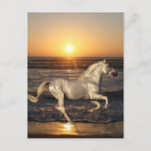 Fantasy Horses: Sunset Briefkaart (Voorkant)