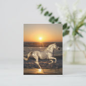 Fantasy Horses: Sunset Briefkaart (Staand voorkant)