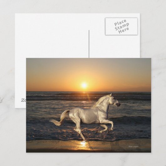 Fantasy Horses: Sunset Briefkaart (Voorkant / Achterkant)