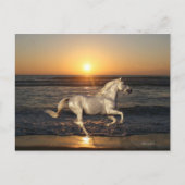 Fantasy Horses: Sunset Briefkaart (Voorkant)