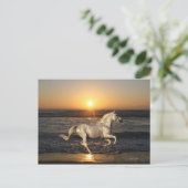 Fantasy Horses: Sunset Briefkaart (Staand voorkant)