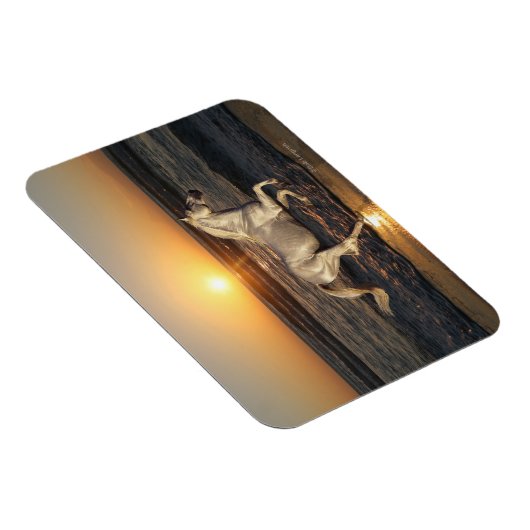 Fantasy Horses: Sunset Magneet (Rechterzijde)