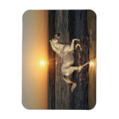 Fantasy Horses: Sunset Magneet (Verticaal)