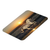 Fantasy Horses: Sunset Magneet (Linkerzijde)