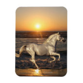 Fantasy Horses: Sunset Magneet (Verticaal)