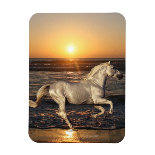 Fantasy Horses: Sunset Magneet (Verticaal)