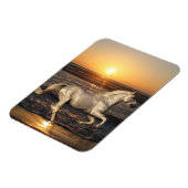 Fantasy Horses: Sunset Magneet (Linkerzijde)