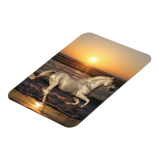 Fantasy Horses: Sunset Magneet (Linkerzijde)