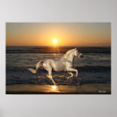 Fantasy Horses: Sunset Poster (Voorkant)