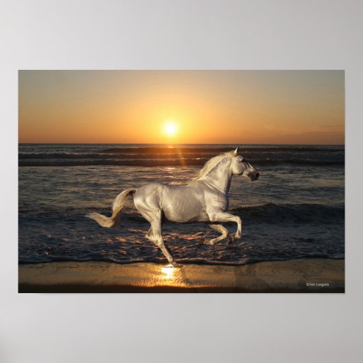 Fantasy Horses: Sunset Poster (Voorkant)