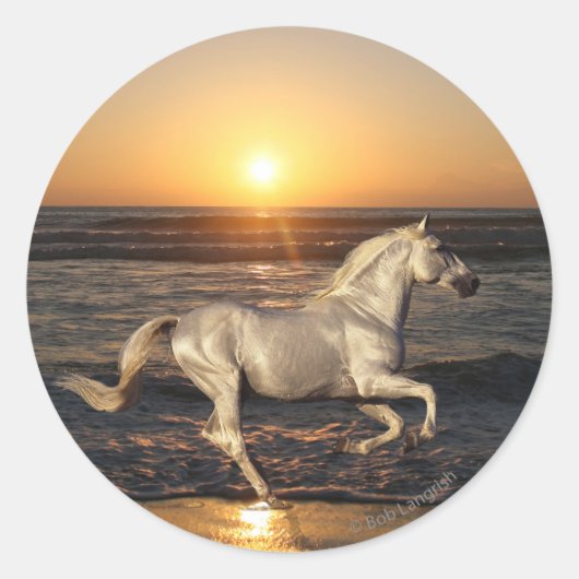 Fantasy Horses: Sunset Ronde Sticker (Voorkant)