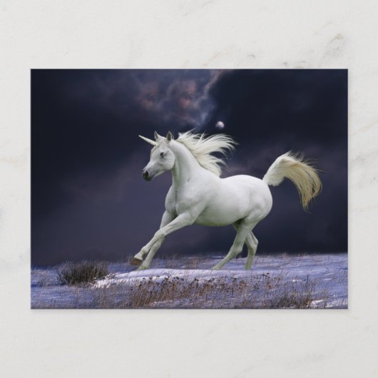 Fantasy Horses: Unicorn Briefkaart (Voorkant)