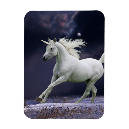 Fantasy Horses: Unicorn Magneet (Verticaal)