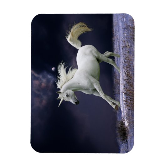 Fantasy Horses: Unicorn Magneet (Verticaal)