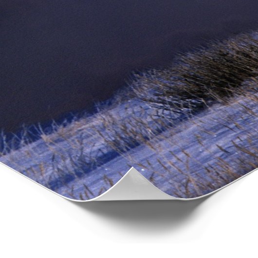 Fantasy Horses: Unicorn Poster (Hoek)