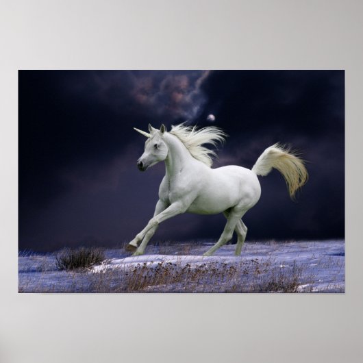 Fantasy Horses: Unicorn Poster (Voorkant)