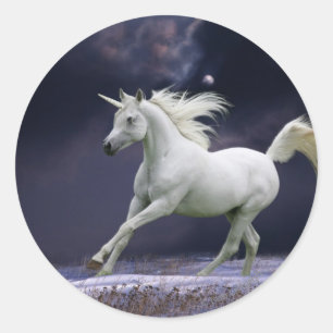 Fantasy Horses: Unicorn Ronde Sticker