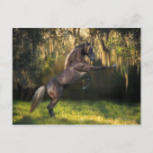 Fantasy Horses: Warrior Prince Briefkaart (Voorkant)