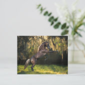 Fantasy Horses: Warrior Prince Briefkaart (Staand voorkant)