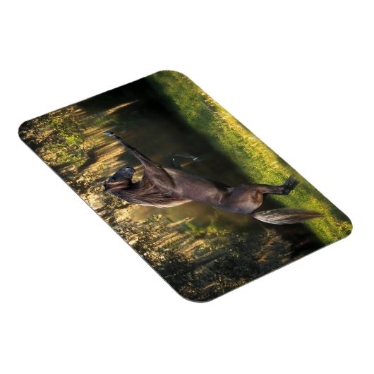 Fantasy Horses: Warrior Prince Magneet (Rechterzijde)