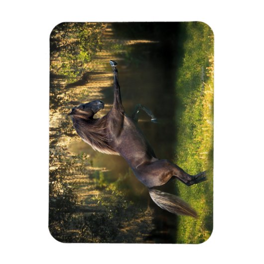 Fantasy Horses: Warrior Prince Magneet (Verticaal)