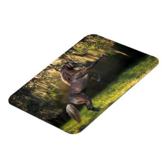 Fantasy Horses: Warrior Prince Magneet (Linkerzijde)