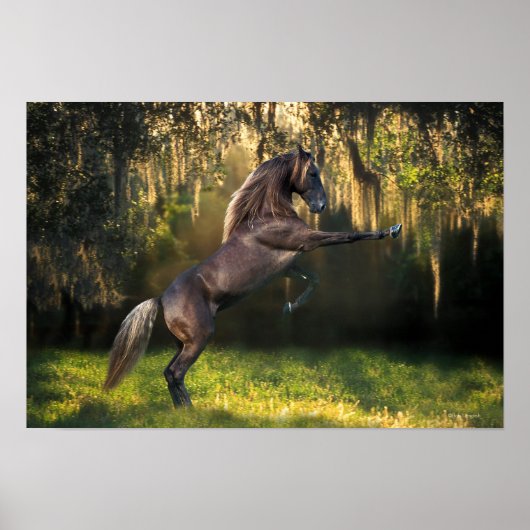 Fantasy Horses: Warrior Prince Poster (Voorkant)