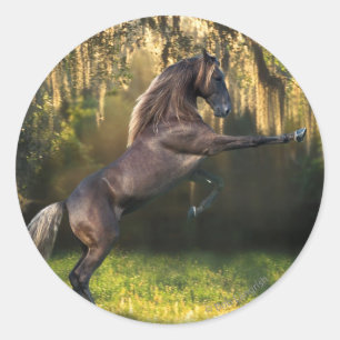 Fantasy Horses: Warrior Prince Ronde Sticker