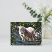 Fantasy Horses: Waterval Briefkaart (Staand voorkant)