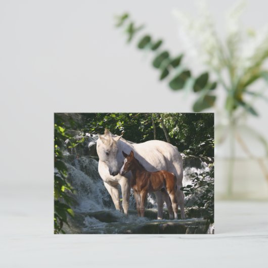 Fantasy Horses: Waterval Briefkaart (Staand voorkant)